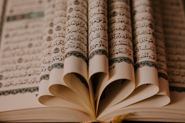 سجاد المساجد